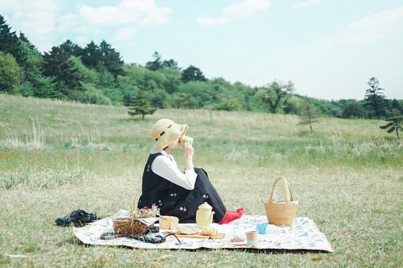 picnic-mua-he picnic-mua-he